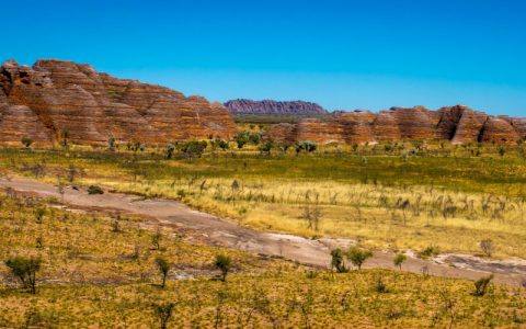 Bungles Coalition