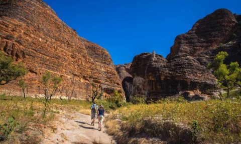 Bungles Walking